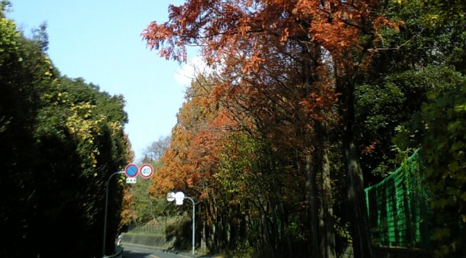 山田北から箕面市小野原へ続く山田上小野原線