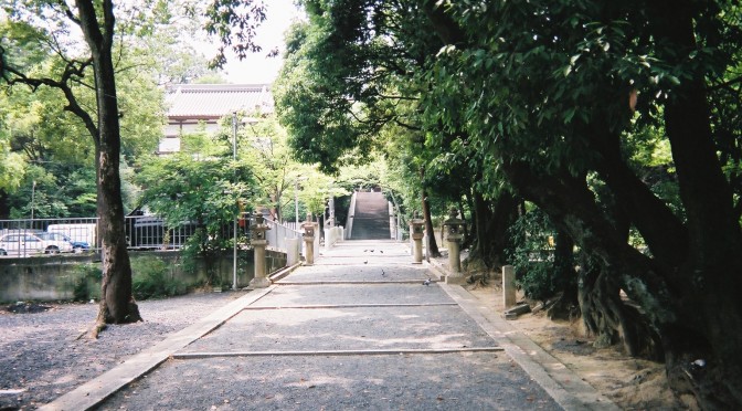 山田伊射奈岐神社の参道