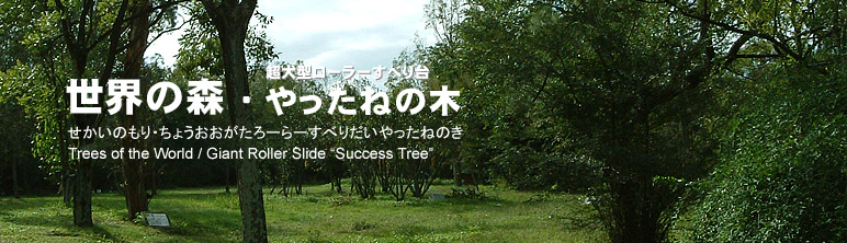 世界の森 やったねの木 スイタウェブ