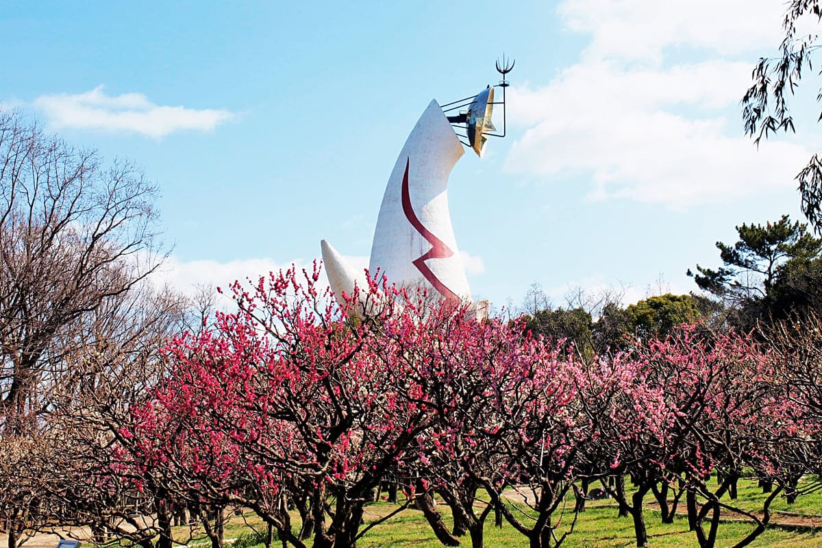 万博記念公園で梅まつり！利き梅酒や梅干し食べ比べ、限定梅スイーツも | PrettyOnline