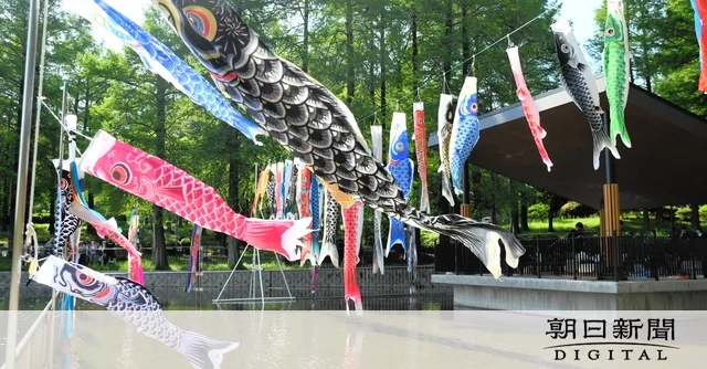 家に眠るこいのぼり、もう一度空へ　吹田の桃山公園で90匹泳ぐ | 朝日新聞